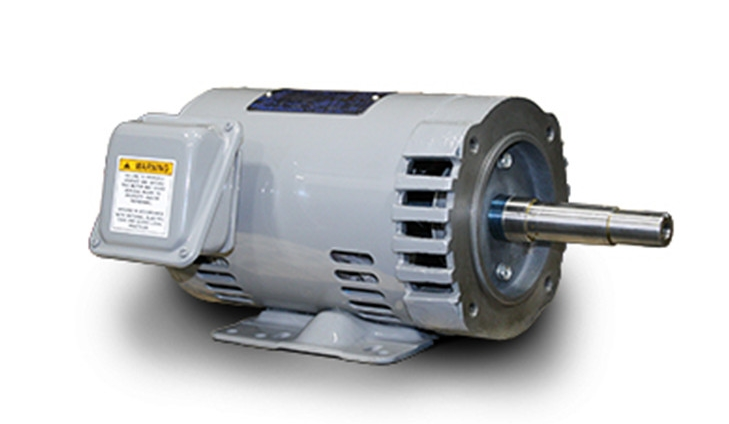 美國TECO-Westinghouse電機(jī)