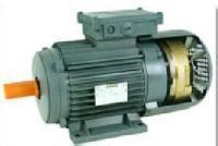 意大利GAMAR三相電機(jī)