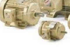 美國(guó)C.E. Niehoff無(wú)刷發(fā)電機(jī)