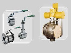 ALFA VALVOLE閥門(mén)