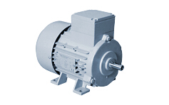 德國BIRKENBEUL專用電機